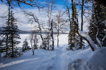 Winter landscape in Pallas Yllastunturi National Park, Lapland, Finland