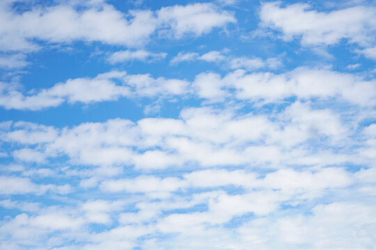 「腫れた」の画像 1,010,007 件の Stock 写真、ベクターおよびビデオ Adobe Stock