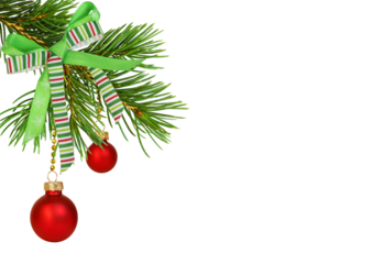 Twig of Christmas tree with red balls and festive ribbon bow isolated