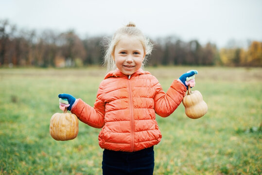 Autumn harvest organic pumpkins and apples. Happy girl on pumpkin patch on cold autumn day, with lot of pumpkins for halloween or thanksgiving Children on pumpkin field.