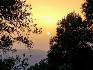 Fototapeta premium sunset over the river