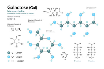 Galactose. Gal. Monosaccharide. Structural Chemical Formula and Molecule 3d Model. C6H12O6. Atoms with Color Coding. Vector Illustration