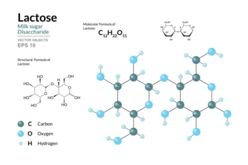 Fotobehang Lactose. Milk Sugar. Disaccharide. Structural Chemical Formula and Molecule 3d Model. C12H22O11. Atoms with Color Coding. Vector Illustration © iv_design