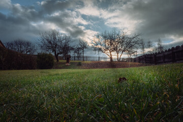 Fototapete bei efototapeten.de bestellen   