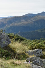 paysage de montagne en Ariège au sommet du col de port
