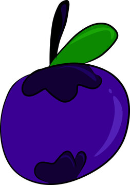 mangosten doodle mangosteen mangis purple fruit doodle tropical fruit