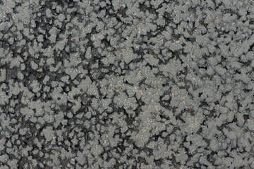 Texture of gray asphalt