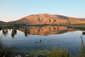 View of a brown bald mountain and plants reflecting on the water under the blue sky in Bear Lake