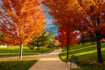 Peak Fall Color in south Denver Colorado urban park