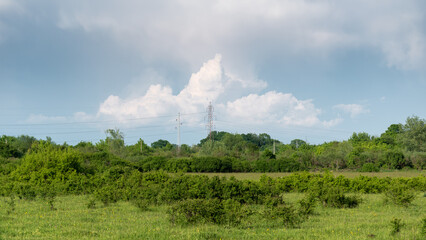Transmission line pylon against big bright cumulonimbus cloud, transmission line above pasture and forest