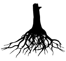 Editable black roots of a tree over the white background - obrazy, fototapety, plakaty