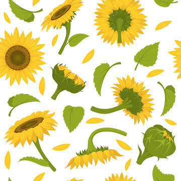 Sunflowers pattern. Colored decorative botanical seamless background for textile design projects swanky vector pictures of yellow decorative sunflowers
