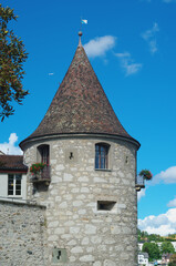 Laufen Castle (German: Schloss Laufen) - Details