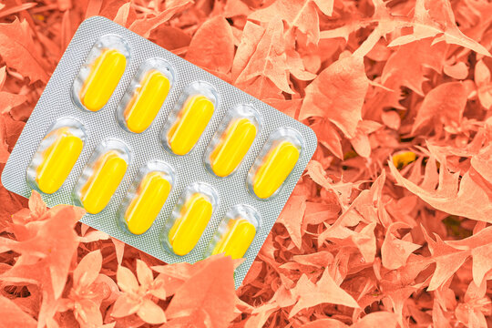 Light bister with yellow pills on orange foliage