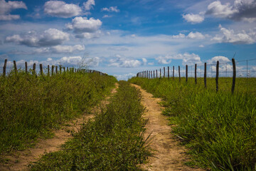 Obraz premium landscape with fence and sky