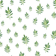 Marigold Leaves Seamless Pattern Background