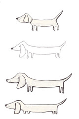Set of dog, Dachshund dog, little and funny dog