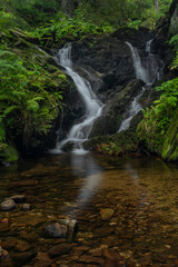 Fototapeta premium Javori creek in Krkonose national park in summer morning