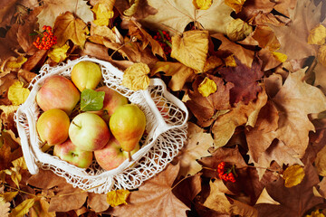 autumn background with apples, pears, leaves and eco bag