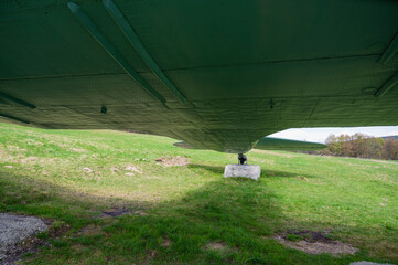 Obraz premium View of the green meadow and forest from below the green Lisunov Li-2 military aircraft.