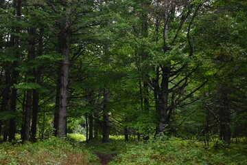 Obraz premium La Plaine 18 Septembre 2022