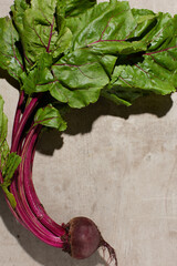 autumn background with beetroot