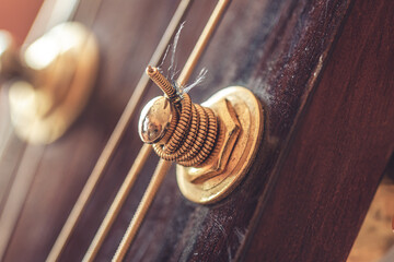 Close up, part of an acoustic guitar, macro detail.