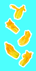 Courgette flowers in the air isolated on pastel blu background