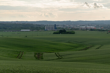 Fields sown with cereals in Polje near Derventa during cloudy day in spring