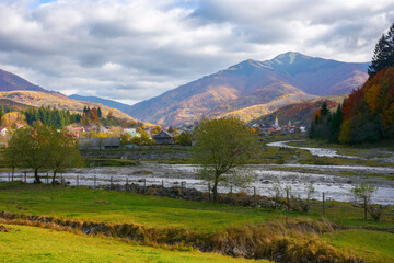 Naklejka premium joint of tereblya and bradolets river. mountainous countryside scenery in autumn