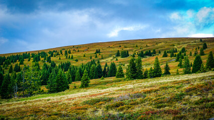 Austrian Mountains with a beautiful view and a excellent experience of nature 