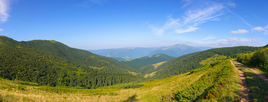 panorama of a green mountain landscape. wonderful view in to the distant valley in morning light. explore the beauty in nature of ukraine. travel season in trascarpathia