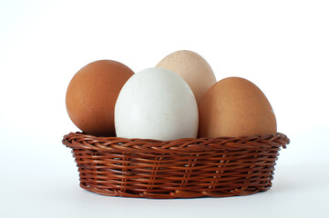Collection of white, brown and light brown organic farm chicken eggs in mini brown wicker basket and isolated on white background.