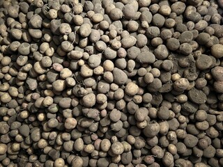 In the basement lies a harvest of harvested young organic potatoes. A large harvest of potatoes. The dug potatoes lie on a pile. They collected potatoes on the farm. 