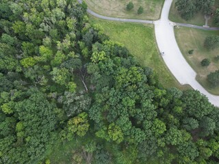broccoli in the snow