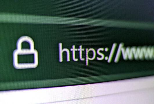 Closeup pixelated view of an internet browser with security lock and https://www text