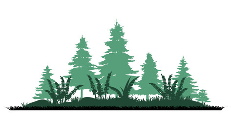 Fern thickets. Coniferous forest with firs and pines. Landscape with trees and grass. Silhouette picture. Isolated on white background. Vector.