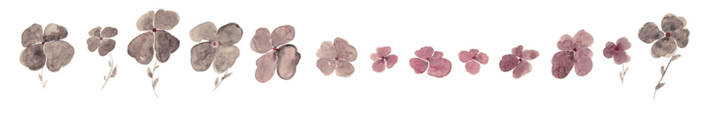 Set of brown and pink watercolor flowers and buds. Isolated illustrations