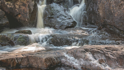 Naklejka premium Nature at it's best 