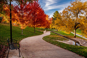 Peak Fall Color in south Denver Colorado urban park