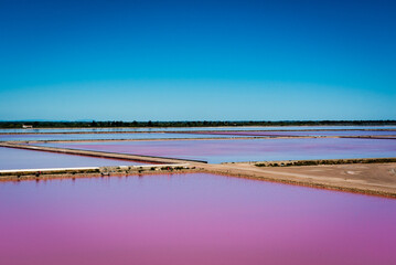 Pink salt marsh near Aigue Morte in Camargue - obrazy, fototapety, plakaty