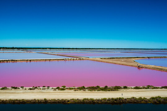 Pink salt field in Camargue france