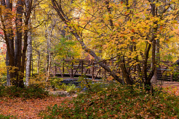 Cross bridge at North American fork canyon in Utah