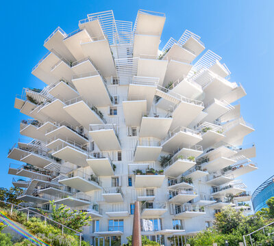 Bâtiment résidentiel l'Arbre Blanc de l'architecte Sou Fujimoto à Montpellier, France, sur les rives du Lez.
