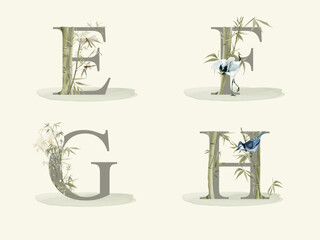 alphabet with bamboo hand drawn isolated