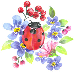 hand drawn ladybug on flower transparent background png