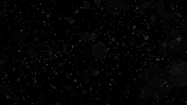 Seamless loop blurred snowflakes on clean black animation copy space background.