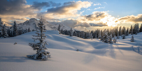 Winterpanorama - Verschneite Winterlandschaft
