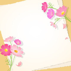 분홍색 코스모스 꽃들과 편지지 일러스트