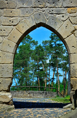 brama w starym zamku, kamienna brama z widokiem na niebo i las